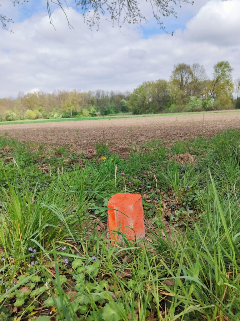 Rozgraniczenie nieruchomości
