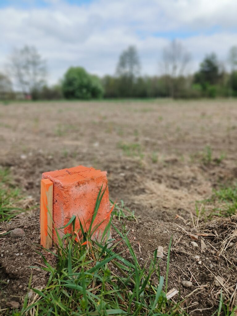 Wznowienie znaków granicznych 