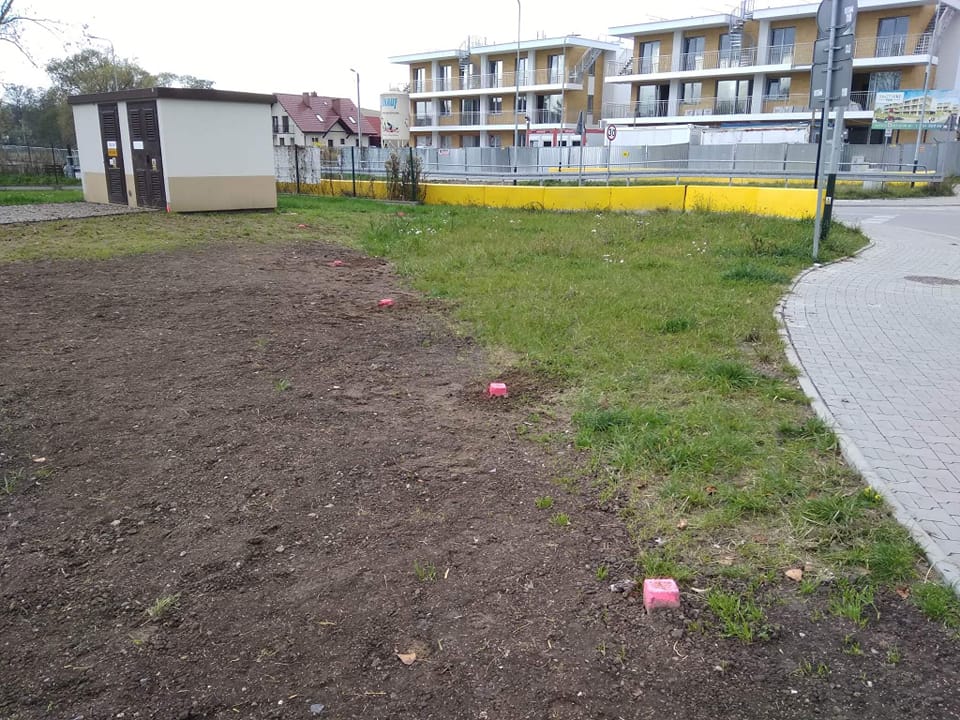 Rola geodety w procesie wznowienia znaków granicznych